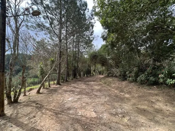 Imagem Km 36 Rap. Tavares - Área para Incorporação - 18.455m²