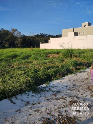 Imagem Terreno medindo 10 x 30 metros a venda no Parque São Domingos Pindamonhangaba SP