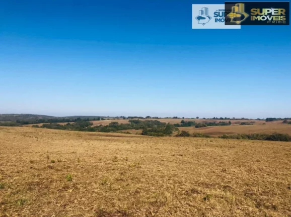 Imagem Fazenda para Venda em Herval-RS 288 hectares