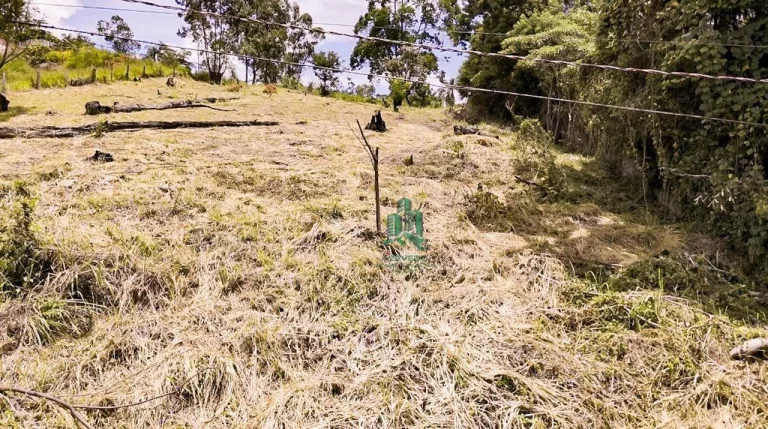 Imagem Terreno à venda, 980 m² por R$ 125.000,00 - Estância San Remo - Atibaia/SP