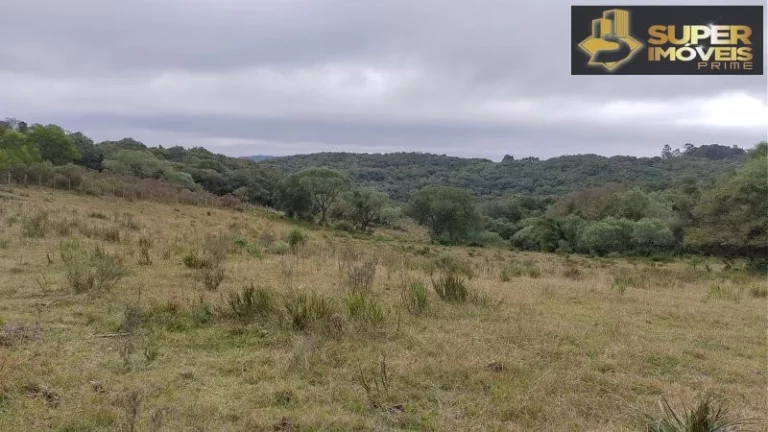 Imagem Fazenda para Venda em Centro Canguçu-RS - 2055