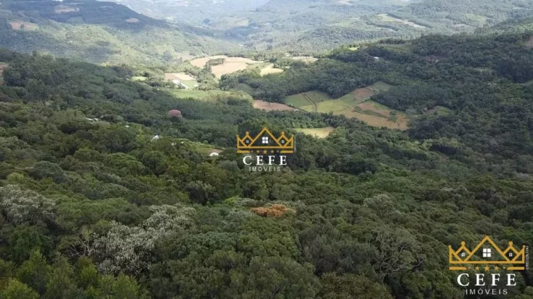 Imagem Chácara - Sítio com 8 Dormitorio(s) localizado(a) no bairro São José do Herval em Morro Reuter / RIO GRANDE DO SUL Ref.:1265