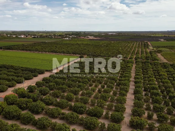 Imagem Lote de 15 hectares, escriturado e quitado na CODEVASF, PETROLINA - PE