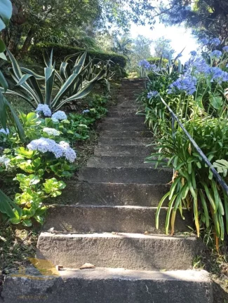 Imagem Alugo Chácara em Theodoro com 3 quartos e 1 suíte