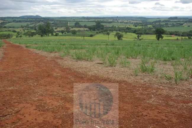 Imagem Fazenda em Cajuru 65,2254 alqueires com 35 alqueires em cana - a 78 km de Ribeirão Preto - SP sentido Casa Branca