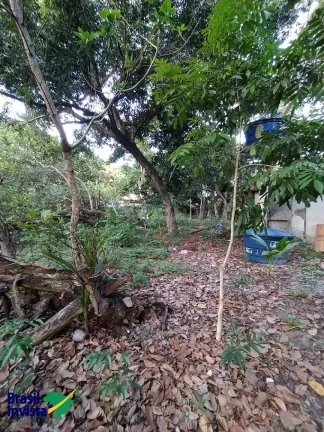 Imagem ÁREA EM ARRAIAL D'AJUDA