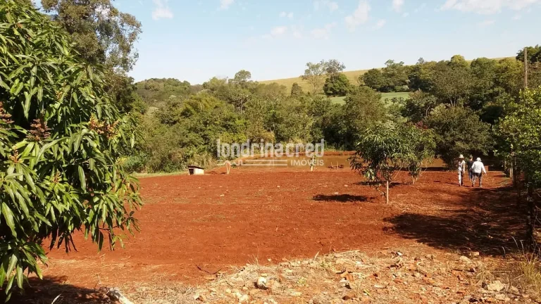 Imagem Chácara à venda 5800M², Zona Rural, Warta - PR