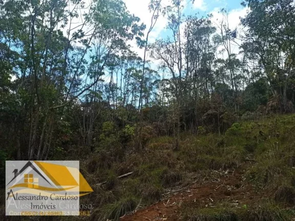 Imagem Vendo área rural com 20 mil mts², boa topografia com nascente.