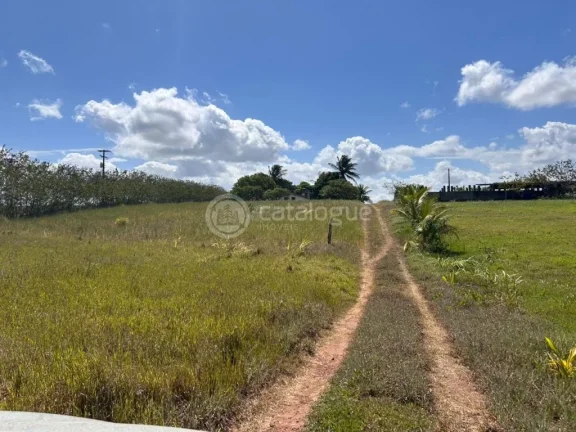 Imagem Chacara a venda completa e produtiva em Sao jose de mipibu