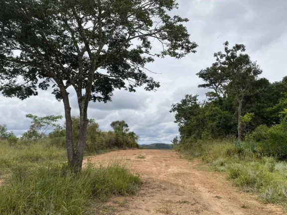 Imagem Lote de 550,60m2 no Novo Condomínio Vila Nova de Anços