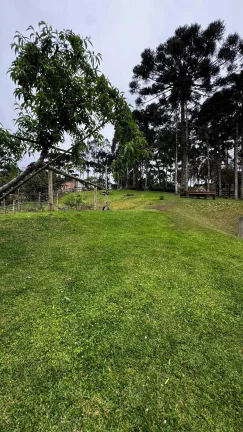 Imagem Chácara com 15.000 m² em Salto do Engenho | Campo Alegre/SC