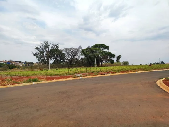 Imagem Vendo Lote - 200m² - Jardim Paineiras em Cesário Lange