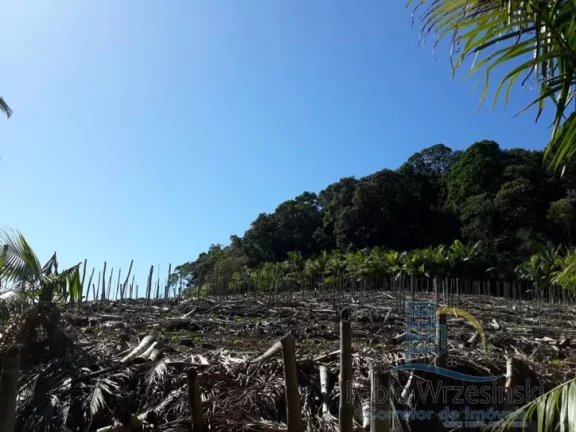 Imagem Terreno - Em rua, para Venda em São Francisco do Sul/SC