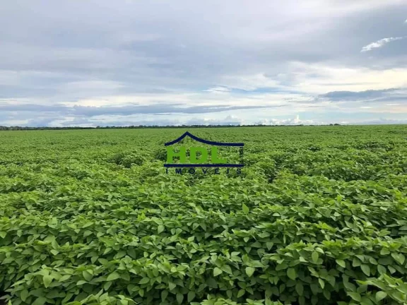 Imagem Fazenda 8.107 Alqs dupla aptidão Confresa MT