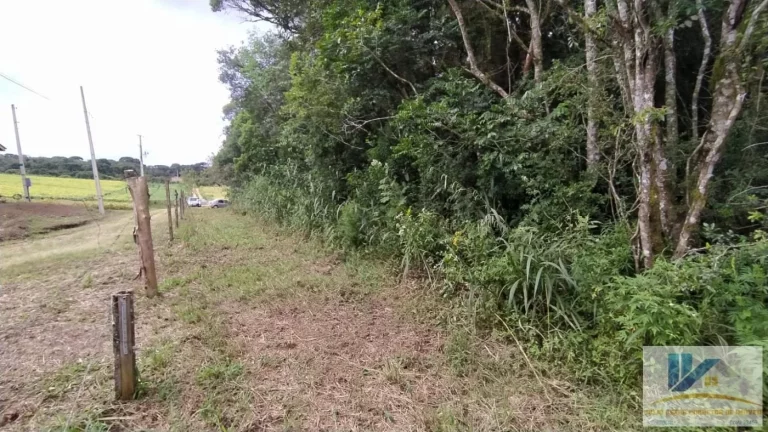Imagem Terreno para Venda em São José dos Pinhais, Campestre da Faxina