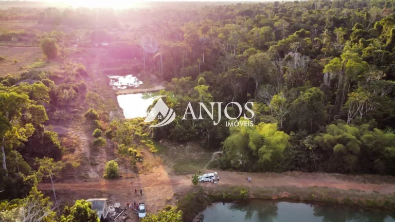 Imagem Chácara à venda, área Rural, com 1.241,24 m , QUITADA SINOP - MT