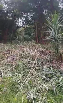 Imagem Lote à Venda no Lago Norte, Brasília – 800m² por R$750mil