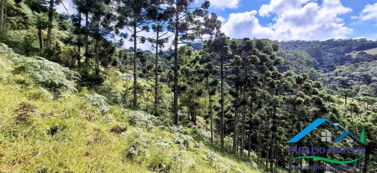 Imagem Viva o sonho na Serra da Mantiqueira neste aconchegante terreno!