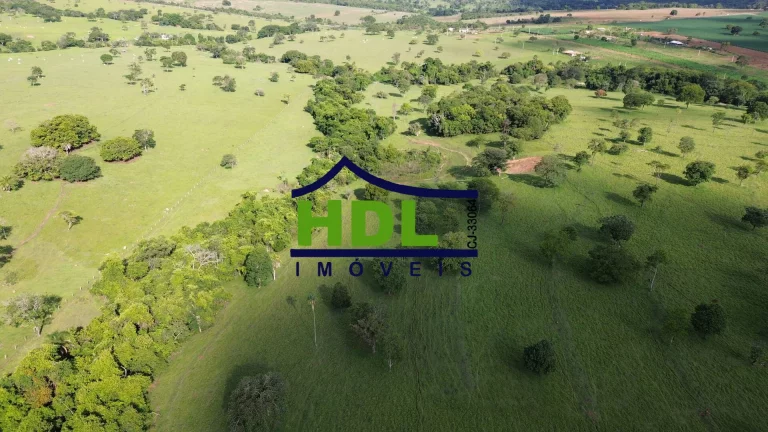 Imagem Fazenda de 1ª com 155 Hectares prox. à Goiânia.
