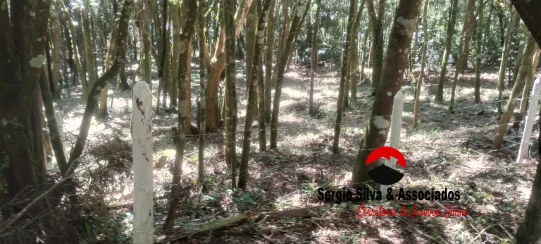 Imagem Terreno a Venda Localizado na Região da Vila Natal em Campos do Jordão -SP.