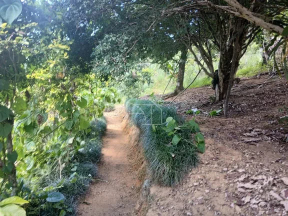 Imagem Sitio em Melgaço Domingos Martins