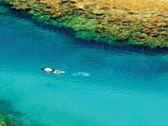 Imagem PRAIA DO FORTE - CONDOMÍNIO PISCINAS NATURAIS: Lotes nos condomínios: Tartarugas 630,00m2 e Jacarandás 544,00m2 - valores R$2.000.000 e R$2.500.000,00