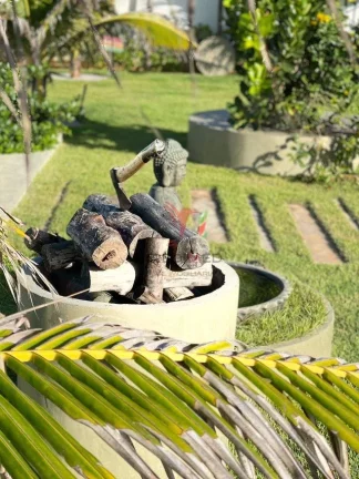 Imagem Magnífica Casa com vista definitiva para as dunas de Genipabu. Área Gourmet, Piscina