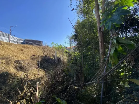 Imagem Terreno amplo de 600 m2 no Bairro Boa Morte
