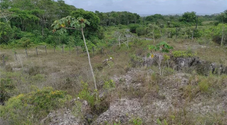 Imagem Terreno à Venda, 17.000 m² em Centro - Camaçari