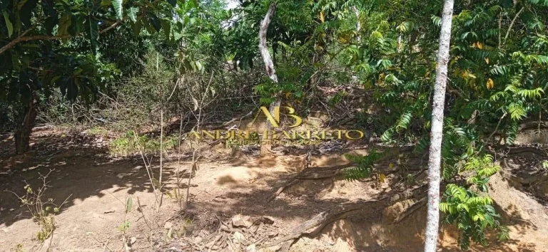 Imagem Casa Com Terreno Amplo à Venda em Simões Filho no Bairro Góes Calmon