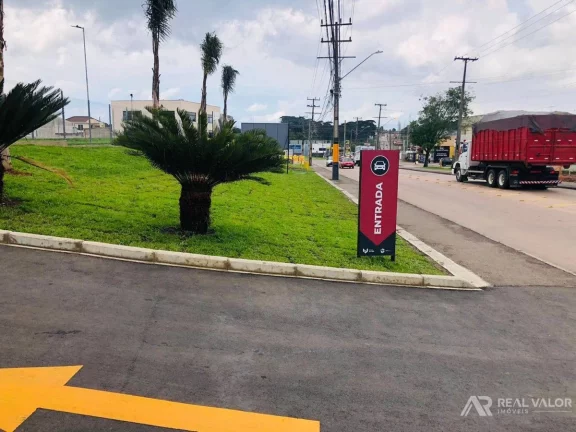 Imagem Comercial, Eucaliptos - Fazenda Rio Grande