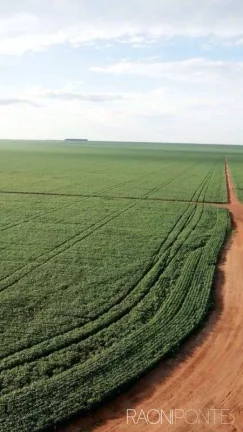 Imagem Fazenda à Venda, 34.060.000 m² em Zona Rural - Novo São Joaquim