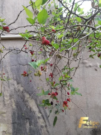 Imagem CASA EM CONDOMÍNIO FECHADO COM 4 QUARTOS EM VILLAGE DO SOL
