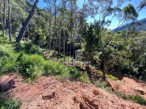 Imagem Terreno à venda, 4200 m² por R$ 550.000,00 - Comary - Teresópolis/RJ