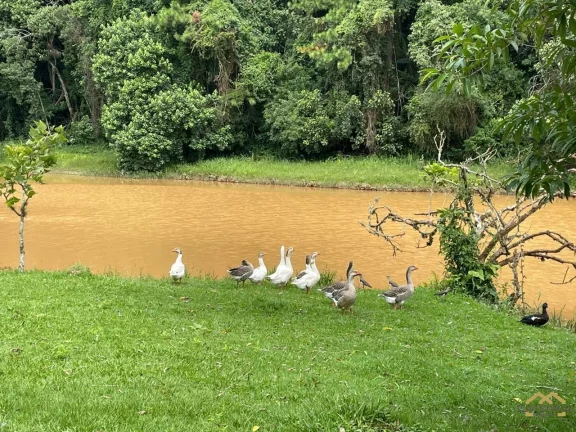 Imagem Terreno a Venda Condomínio Reserva Bom Viver - Chácara Lagoa Branca - Campo Limpo Paulista - SP