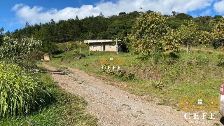 Imagem Chácara - Sítio com 1 Dormitorio(s) localizado(a) no bairro Padre Eterno Ilges em Santa Maria do Herval / RIO GRANDE DO SUL Ref.:1267