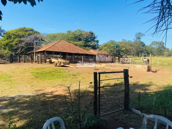 Imagem Oportunidade! Fazenda à venda em Conceição das Alagoas