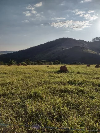 Imagem Belíssimo sítio à venda localizado em Cabreúva-SP
