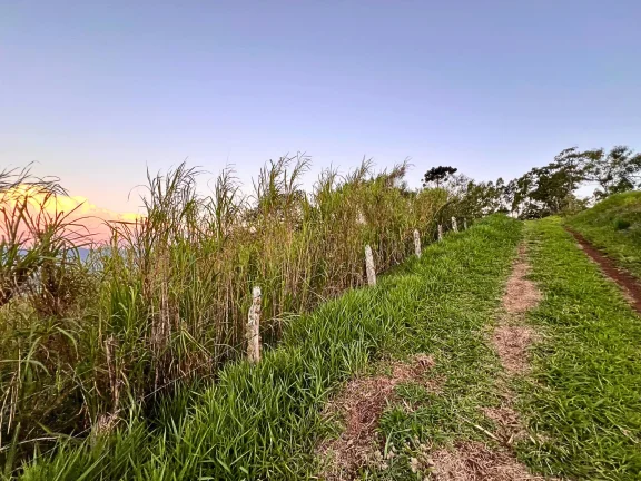 Imagem O Topo da Mantiqueira: Terreno Espetacular com 32.000m², 100% Aproveitável e Vista Infinita