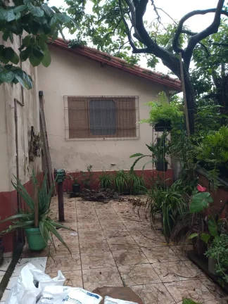 Imagem Casa Antiga com 250 metros e uma Edicila Exlente para Costrutor