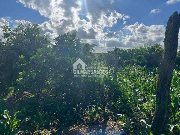 Imagem Fazenda/Sítios/Chácaras no bairro zona rural, em Coronel João Sá