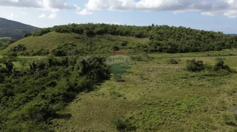 Imagem Fazenda à Venda, 1.449.875 m² em Zona Rural - Anchieta