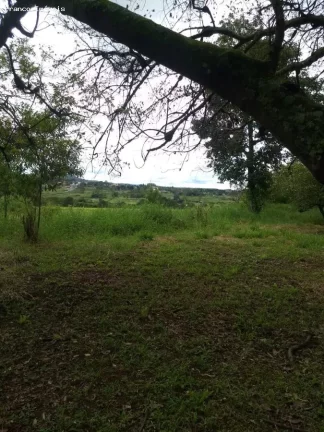 Imagem Sítio para Venda em Suzano, Ipelândia