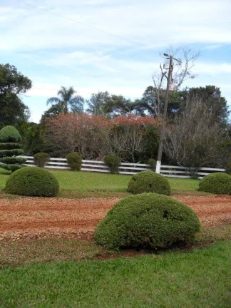 Foto do imóvel: Sítio à venda em Cascavel, próximo ao Trevo Cataratas - Casa sede, Açudes, área mecanizada, pasto, e Localização Privilegiada