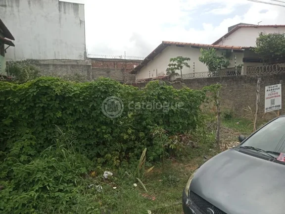 Imagem Terreno Residencial à Venda | Excelente Localização - Nova Parnamirim