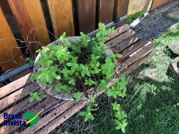 Imagem CASA DE PRAIA NA COSTA DO DESCOBRIMENTO