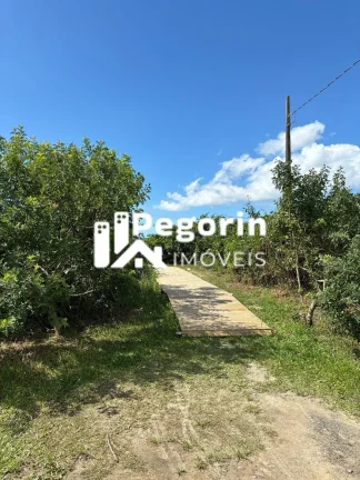 Imagem Terreno em Balneário Brandalize, Itapoá/SC