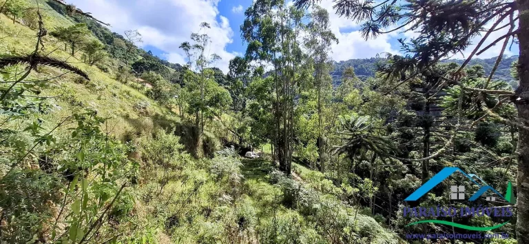 Imagem Viva o sonho na Serra da Mantiqueira neste aconchegante terreno!