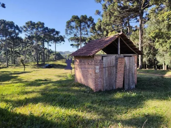 Imagem CHÁCARA NA REGIÃO NO BUGRE EM BALSA NOVA