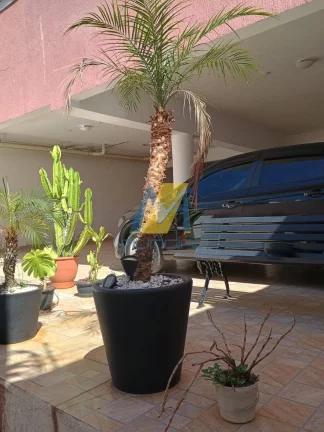Imagem “Morar bem sem gastar muito? Essa cobertura vai te surpreender!”